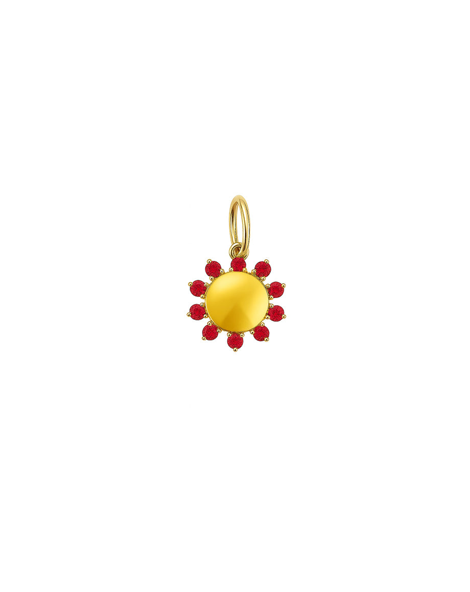 Small 14K Gold Ruby Framed Shiny Disk Charm