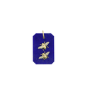 14K Gold Rectangle Lapis Double Bee Charm