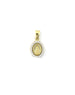 Small 14K Gold CZ Frame Oval Miraculous Mary Charm