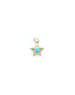 14K Gold Textured Turquoise Star Charm
