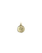 14K Gold Lucky Charm Disc Charm