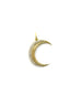 14K Gold Fanned Diamond Crescent Moon Charm