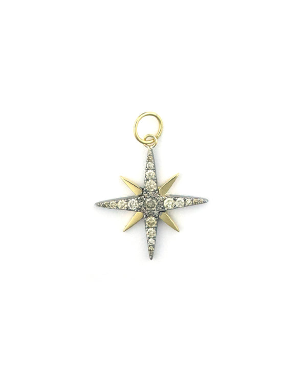 14K Gold Two Tone Diamond Compass Star Charm